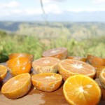 Lemon (Limón)