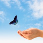 The Path to Total FREEdom For ALL