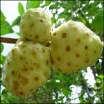 Noni