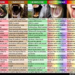 Humanity's Evolution to Vegetarianism, Veganism, & Breatharianism